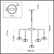 Подвесная люстра Odeon Light Vele 4815/13 Image 3