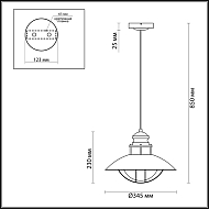 Уличный подвесной светильник Odeon Light Dante 4164/1 Image 2