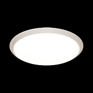 Настенно-потолочный светодиодный светильник Sonex Yuki 3061/50L Image 1