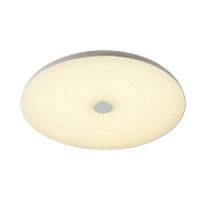 Потолочный светодиодный светильник Sonex Roki Muzcolor 4629/DL Image 0