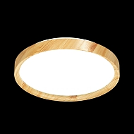 Настенно-потолочный светильник Sonex Woodi 3019/EL Image 2