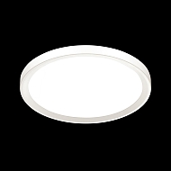 Настенно-потолочный светодиодный светильник Sonex Tasta 3064/50L Image 1