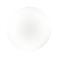 Настенно-потолочный светильник Sonex Simple 3017/CL Image 0