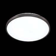 Настенно-потолочный светильник Sonex Smalli 3012/DL Image 2