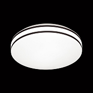 Настенно-потолочный светодиодный светильник Sonex Lobio 3055/EL Image 2