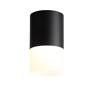 Потолочный светодиодный светильник ST Luce Ottu ST100.442.10 - купить онлайн в интернет-магазине Люстра-Тут (Санкт-Петербург) недорого