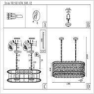 Подвесная люстра ST Luce Fabio SL1170.103.12 Image 3