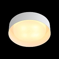 Потолочный светильник ST Luce Chio SL392.502.04 Image 1
