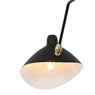 Подвесная люстра ST Luce Spruzzo SL305.402.06 Image 1